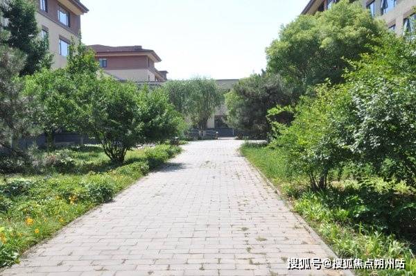 护理照料示范中心地址交通、服务项目与收费标准详解不朽情缘2026年北京养老一文理清！北京市养老(图3)