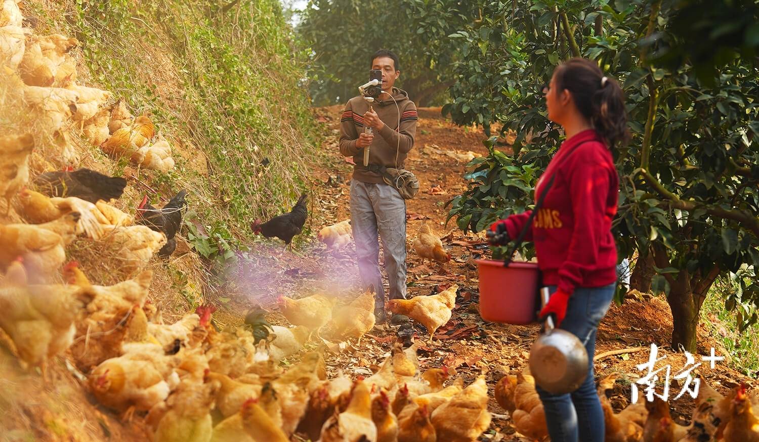 ｜南方日报、南方+2025年度照片不朽情缘试玩网站光影为纪心映万象(图31)