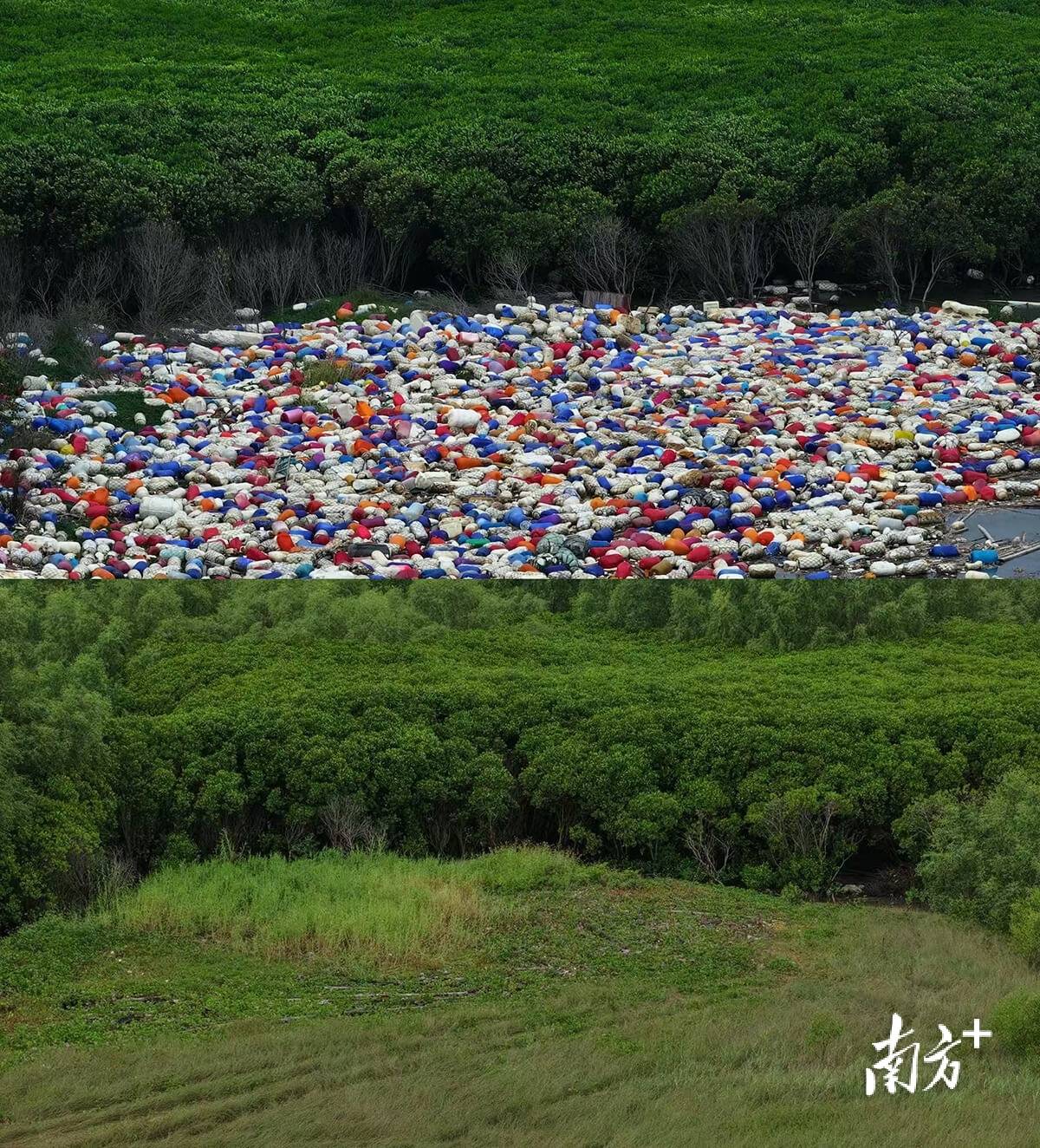 ｜南方日报、南方+2025年度照片不朽情缘试玩网站光影为纪心映万象(图48)