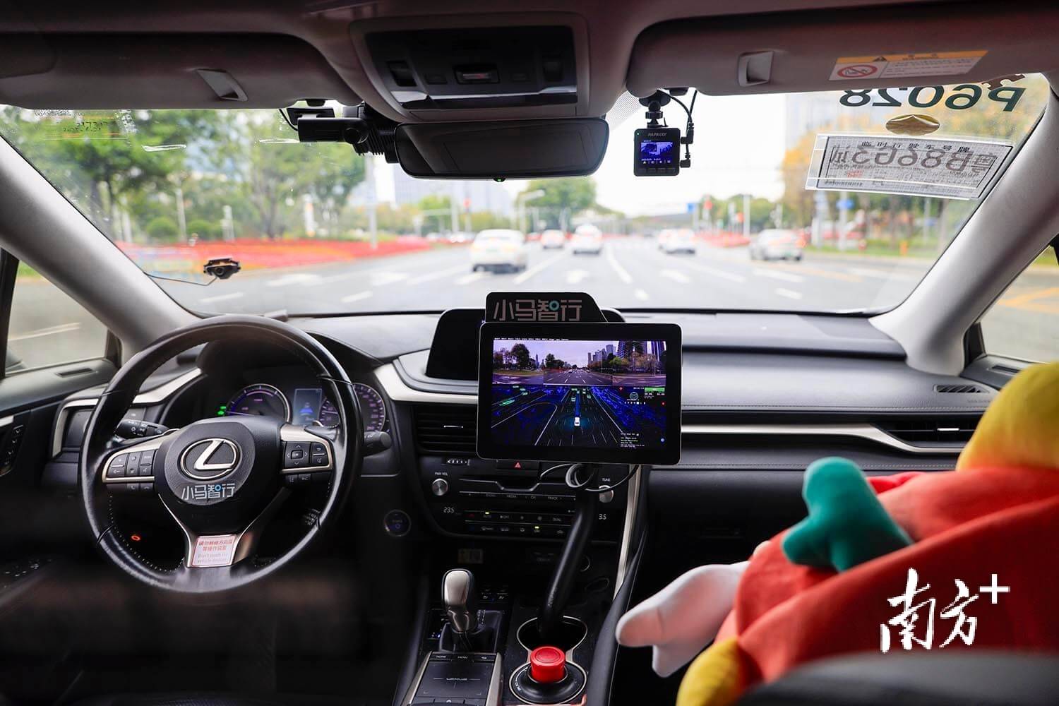 ｜南方日报、南方+2025年度照片不朽情缘试玩网站光影为纪心映万象(图49)