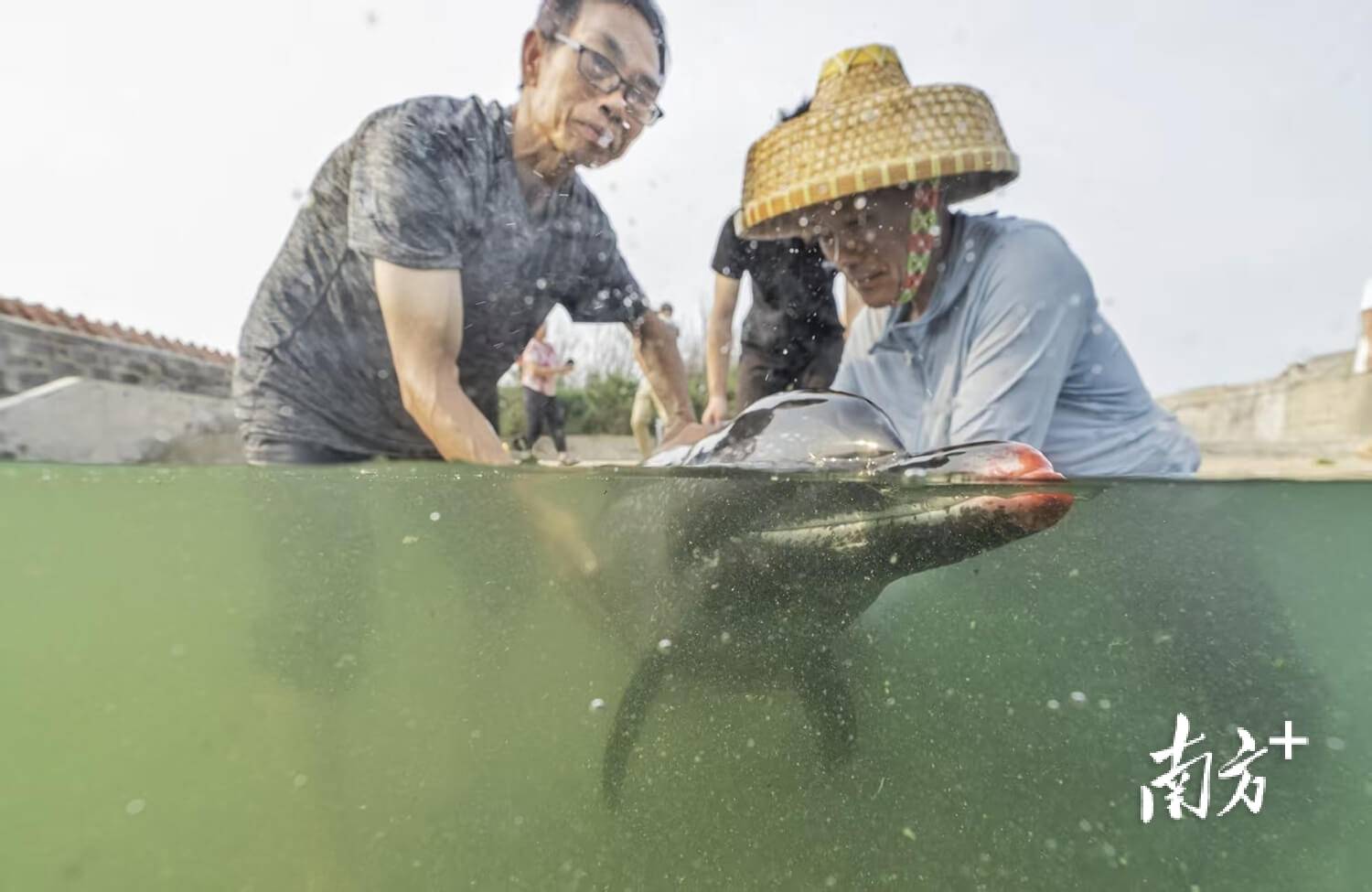 ｜南方日报、南方+2025年度照片不朽情缘试玩网站光影为纪心映万象(图50)