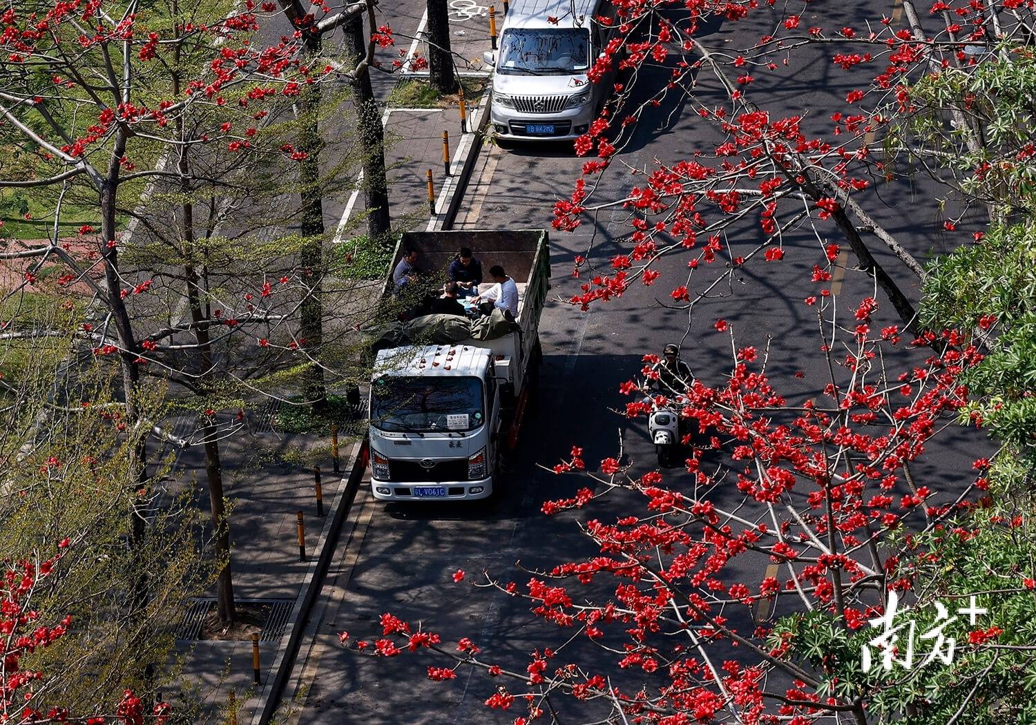 ｜南方日报、南方+2025年度照片不朽情缘试玩网站光影为纪心映万象(图70)