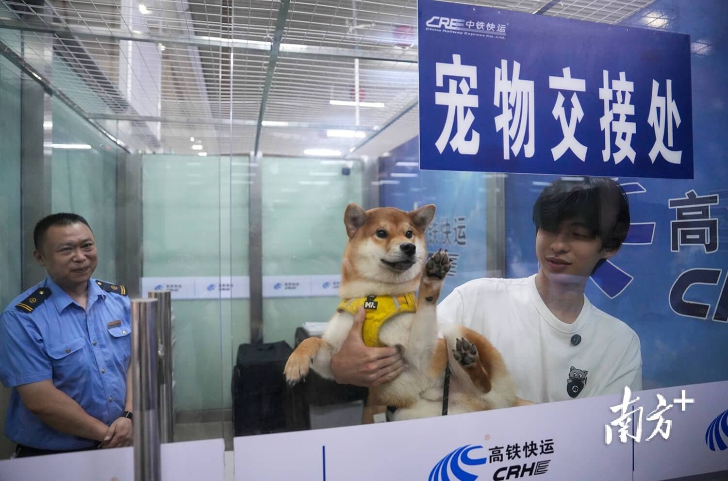 ｜南方日报、南方+2025年度照片不朽情缘试玩网站光影为纪心映万象(图76)