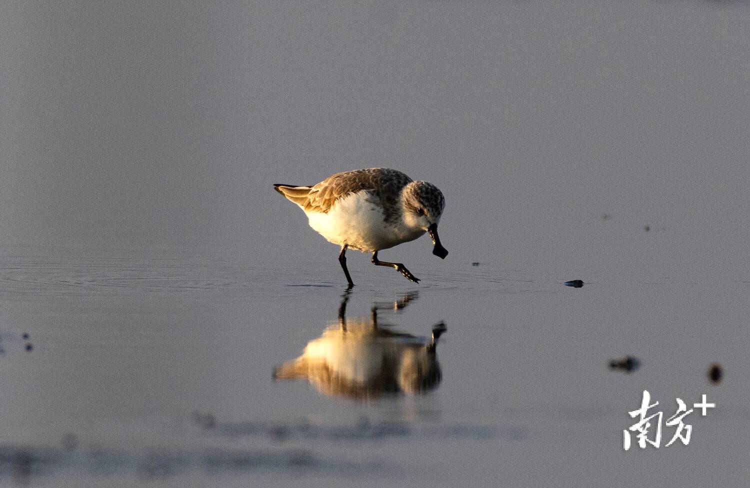 ｜南方日报、南方+2025年度照片不朽情缘试玩网站光影为纪心映万象(图74)